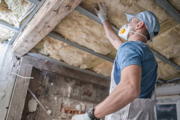 Best Insulation Materials and Products in Oakbrook, KY